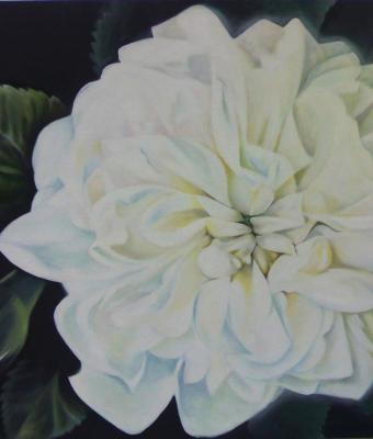 le-rose-di-piero-dodecaedroc
