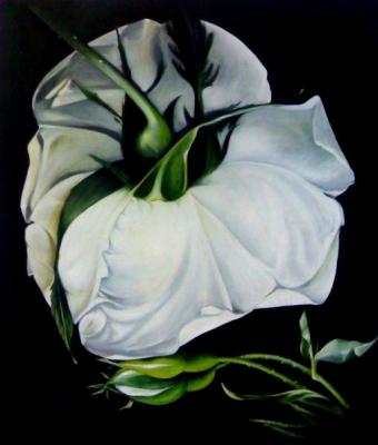 le-rose-di-piero-icosaedroac
