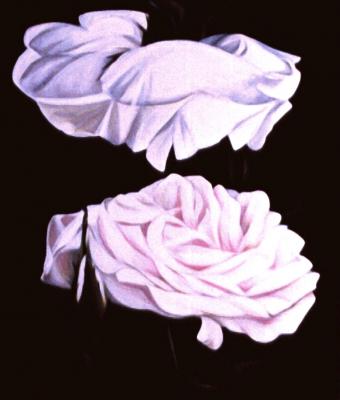 le-rose-di-piero-genesitrian