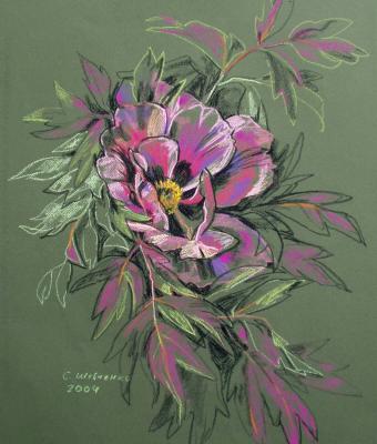 ga154096-senza-titolo