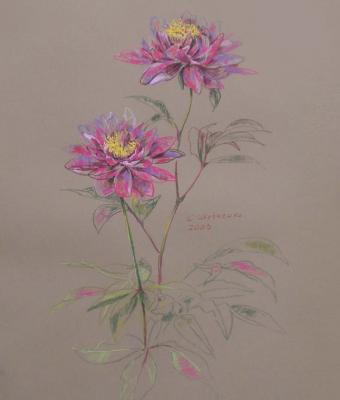 ga154097-senza-titolo