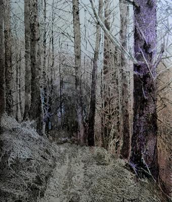 cuore-di-bosco