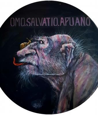 omosalvatioapuano