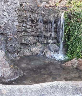 pensiero-del-mattino-vivere