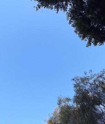 pensiero-del-giorno-vita-u