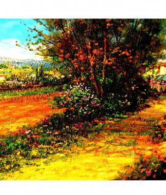 campagna