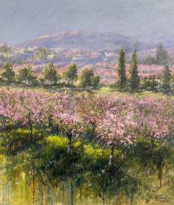 primavera