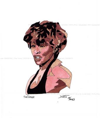 tina-turner