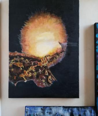 asteroide-verso-il-sole