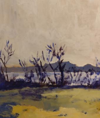 paesaggio-varesino
