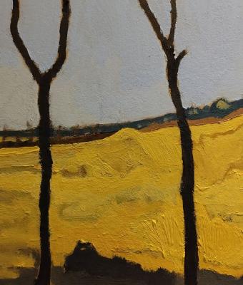 campo-dietro-gli-alberi