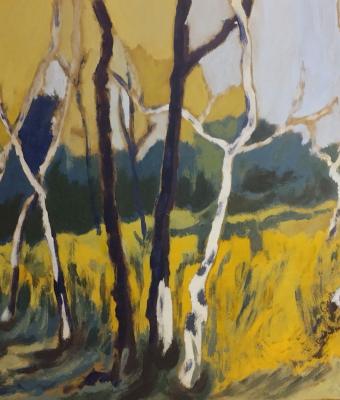 betulle-sul-cadrigna