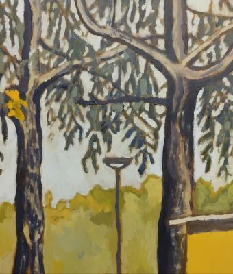 cedri-della-stazione