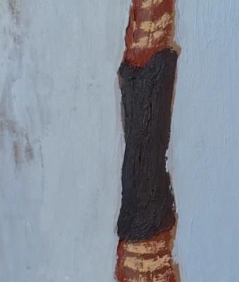 didgeridoo-serpentino