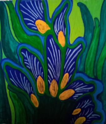 iris