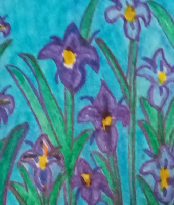giardino-dell-iris