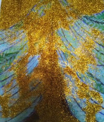 raggi-d-oro-sull-abete