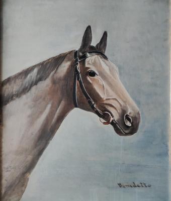 cavallo