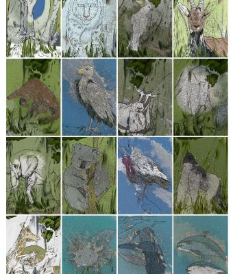 conosci-davvero-la-natura-ani