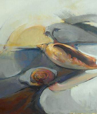 fossile-e-conchiglia