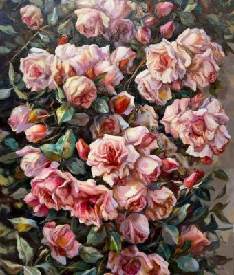 roseto