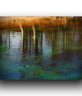 foreste-incantate