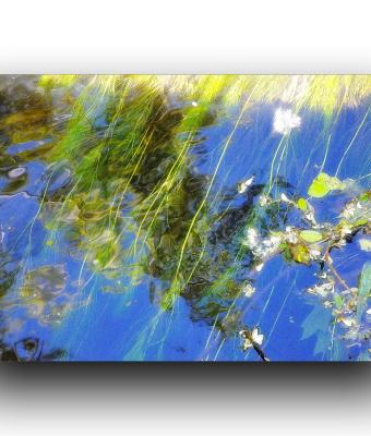 acqua-cristallina-che-scorre-s