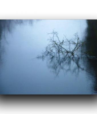 foschia-sul-fiume