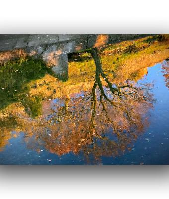 lungo-l-argine-del-fiume