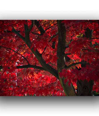 autunno