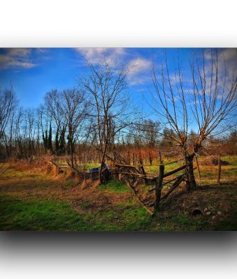 disordine-apparente