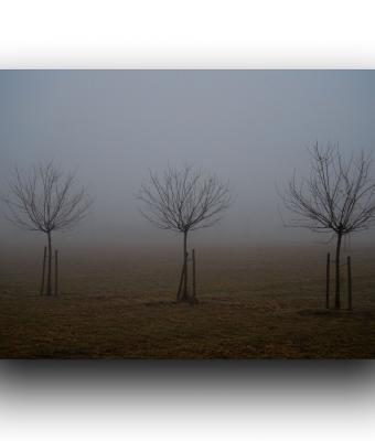 ga234322-senza-titolo