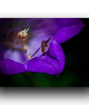 ga234750-senza-titolo