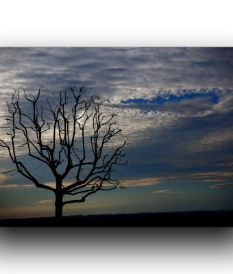 ga234751-senza-titolo