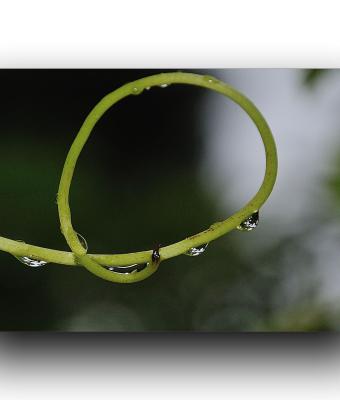 ga234803-senza-titolo