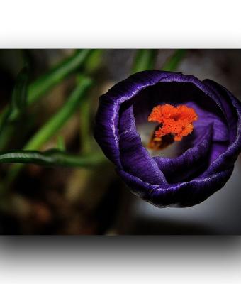 ga234806-senza-titolo