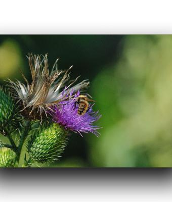 ga234990-senza-titolo