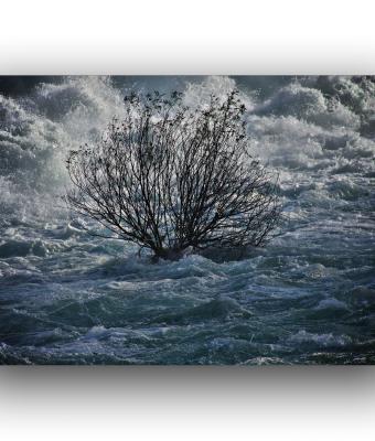 ga235122-senza-titolo