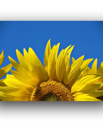 ga235124-senza-titolo