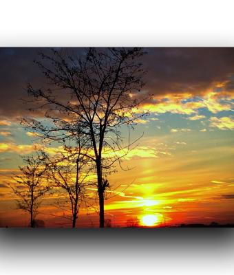 ga235369-senza-titolo