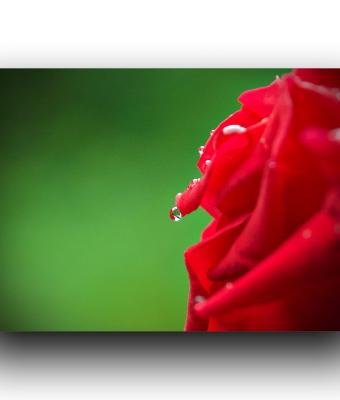 ga235580-senza-titolo