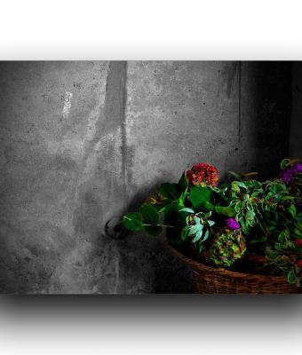 ga235776-senza-titolo