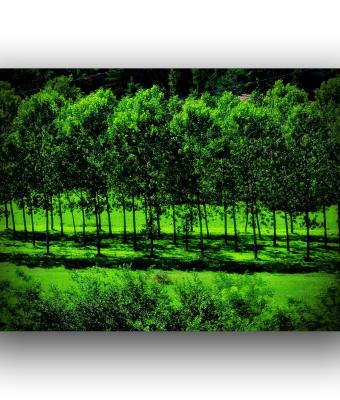 ga235778-senza-titolo