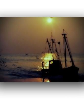 ga235784-senza-titolo