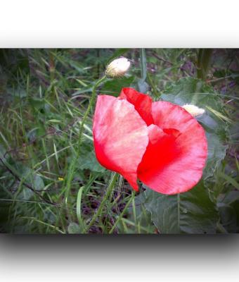 ga235788-senza-titolo