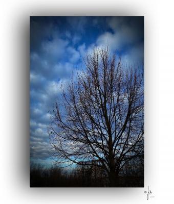 ga237751-senza-titolo