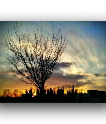 ga238247-senza-titolo