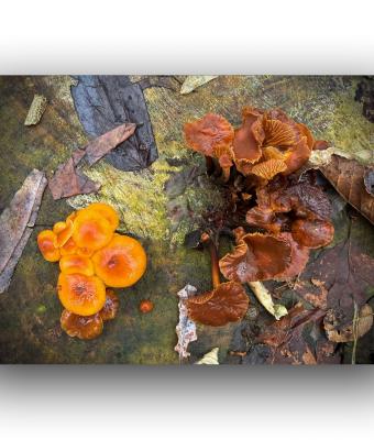 ga239145-senza-titolo