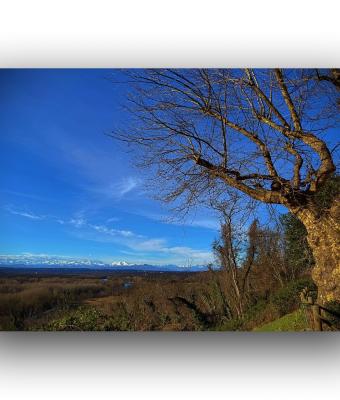 ga239467-senza-titolo