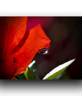 ga241013-senza-titolo